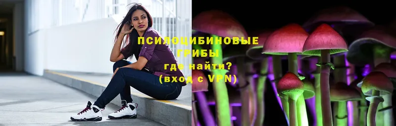 Псилоцибиновые грибы мицелий  Болотное 